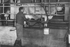 Holladay_Dairy_04-scaled