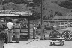 Holladay_Dairy_09-scaled
