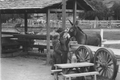 Holladay_Dairy_12