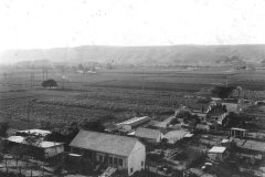 Holladay_Dairy_21